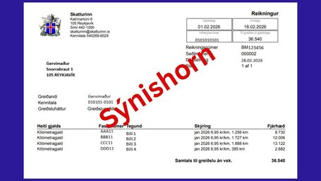 mynd af greiðsluseðli með rauðu letri yfir þar sem stendur sýnishorn